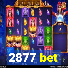 2877 bet